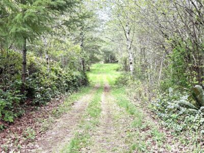 0 40 acres 143rd Avenue SE, Tenino, WA 98589 - Photo 10