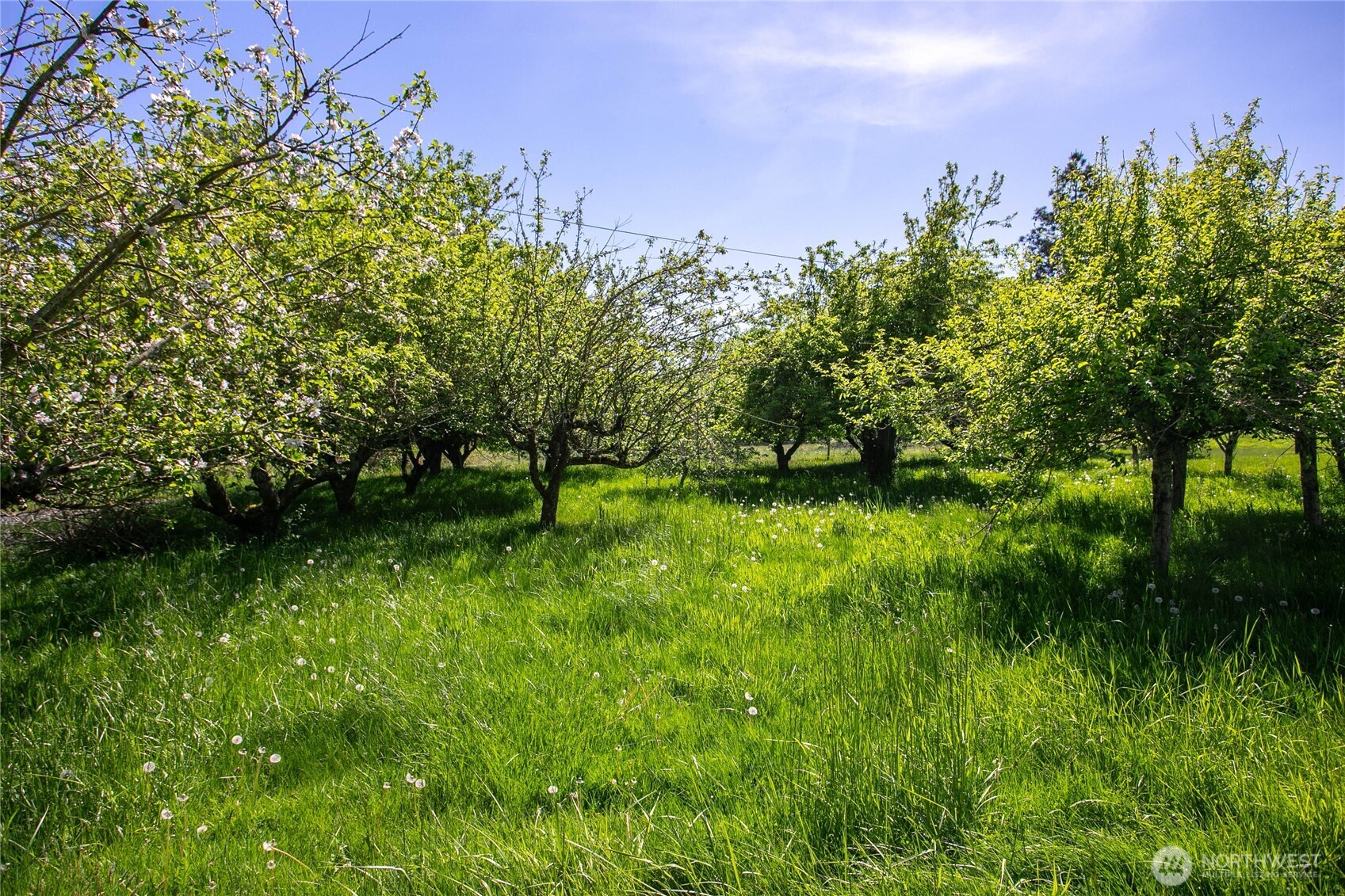 2515 Brown Rd , Ferndale, WA 98248