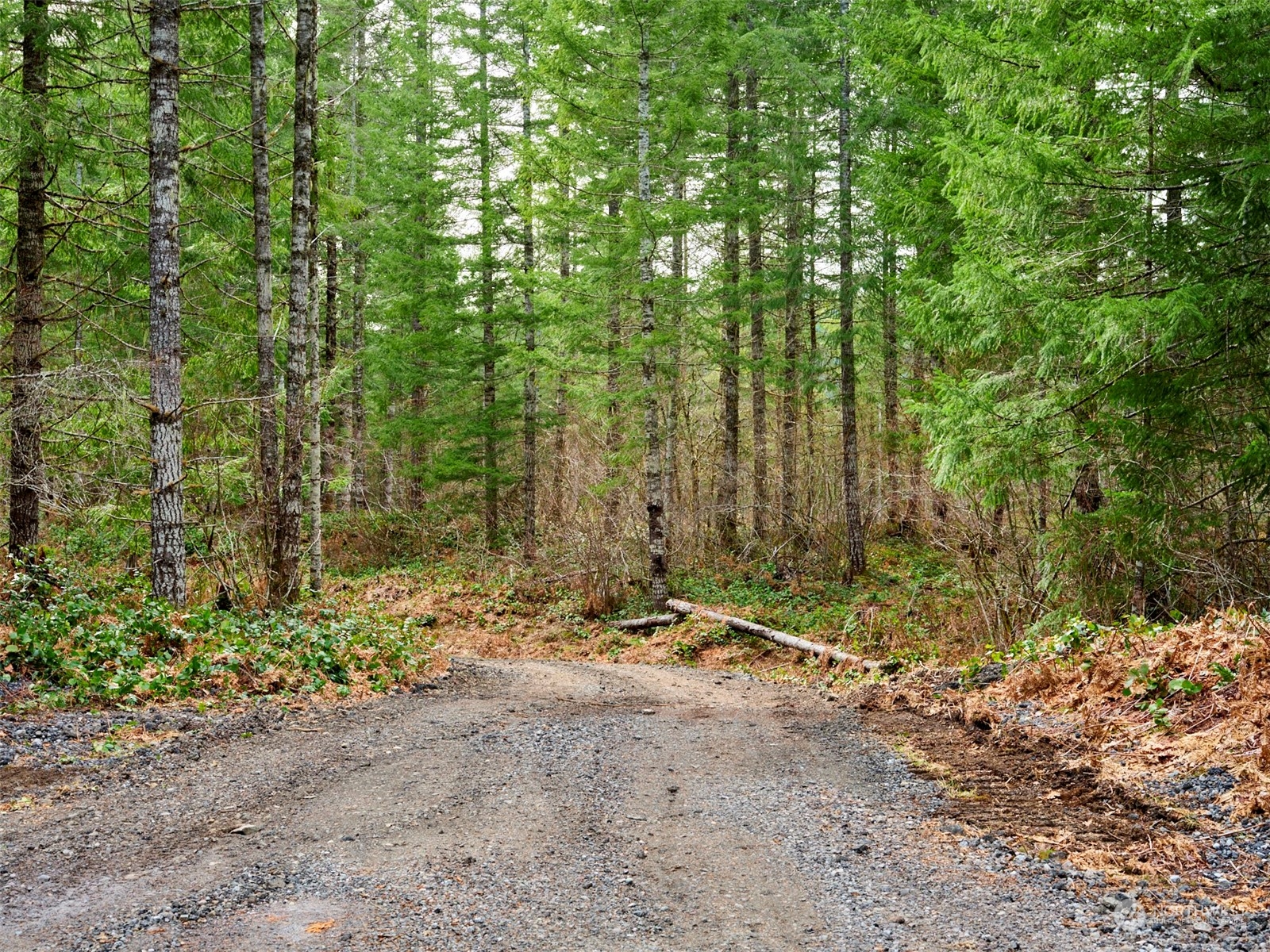 1 A Lahar Lane , Cougar, WA 98616