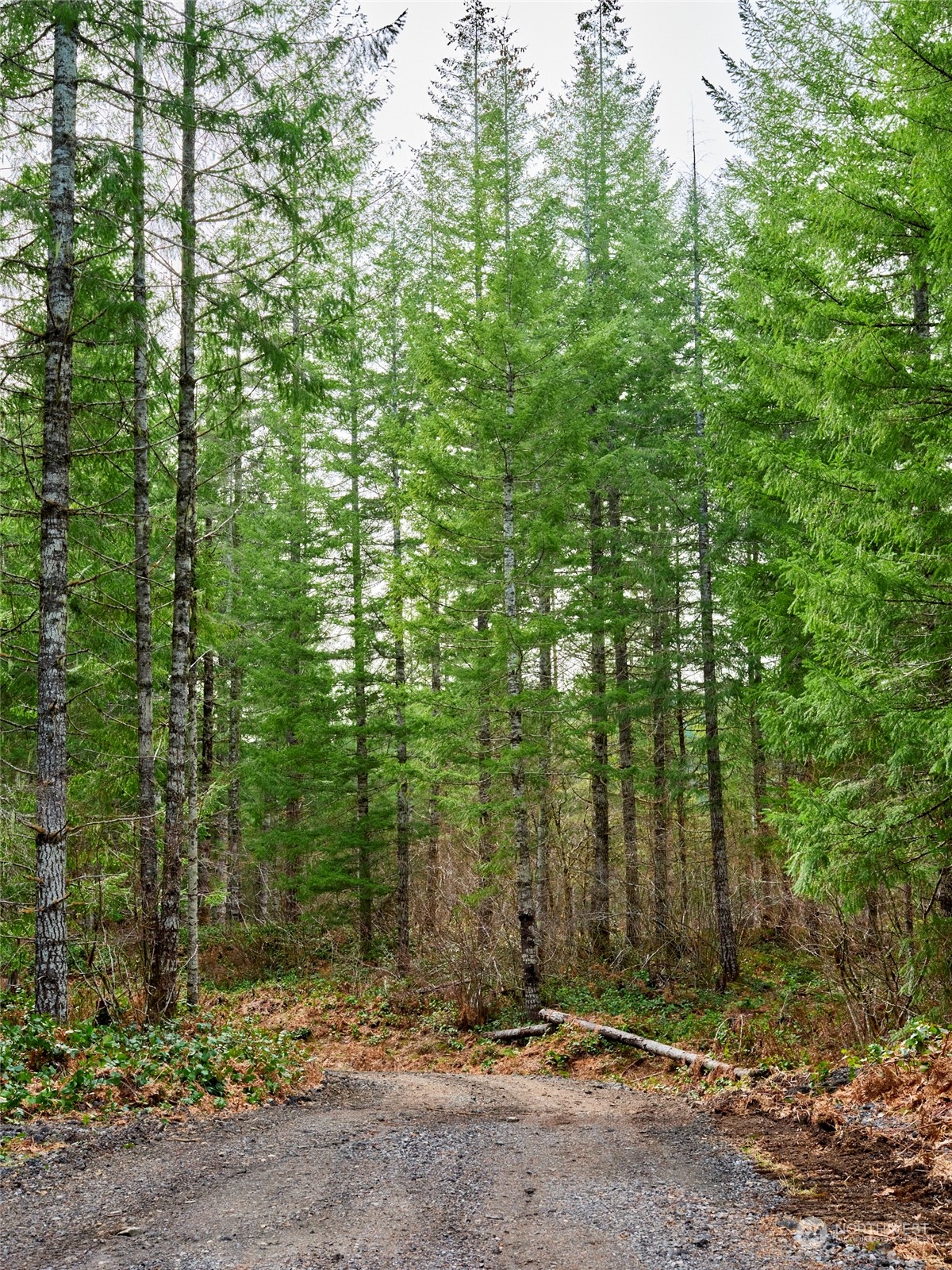 1 A Lahar Lane , Cougar, WA 98616