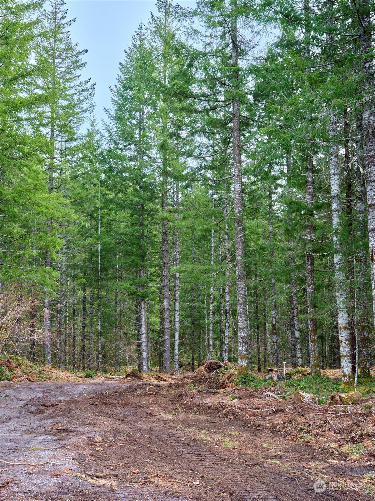 1 A Lahar Lane , Cougar, WA 98616