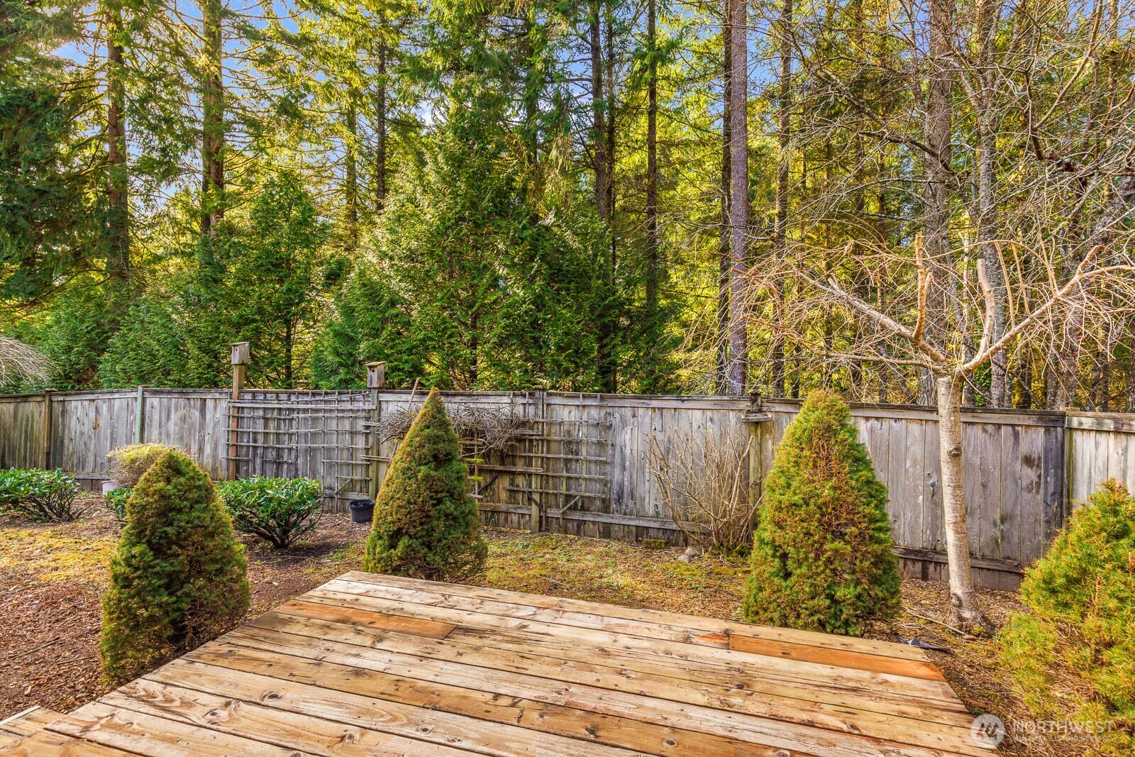 923 Sarah Ct NW , Olympia, WA 98502