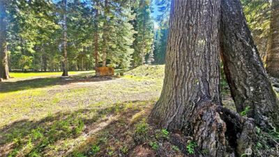 921 Jenkins Drive , Cle Elum, WA 98922 - Photo 22