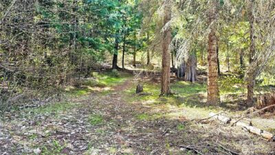 921 Jenkins Drive , Cle Elum, WA 98922 - Photo 25