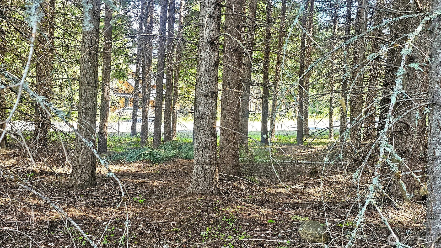 921 Jenkins Drive , Cle Elum, WA 98922