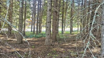 921 Jenkins Drive , Cle Elum, WA 98922 - Photo 27