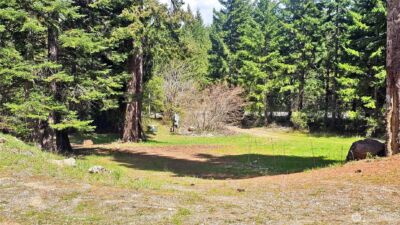 921 Jenkins Drive , Cle Elum, WA 98922 - Photo 31