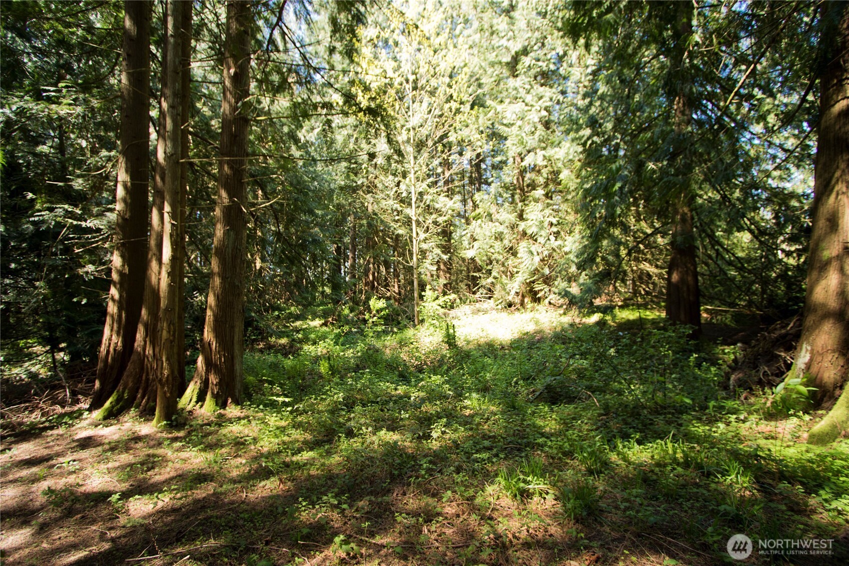 26904 SE 400th Street , Enumclaw, WA 98022