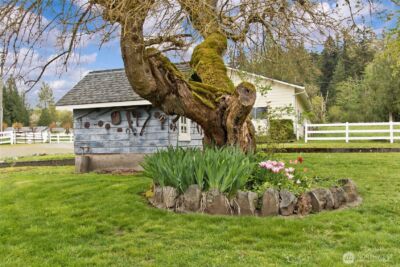 26904 SE 400th Street , Enumclaw, WA 98022 - Photo 11