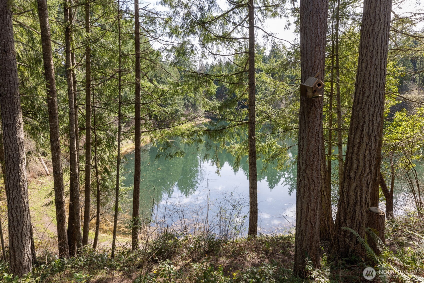 22221 N Clear Lake Boulevard SE, Yelm, WA 98597