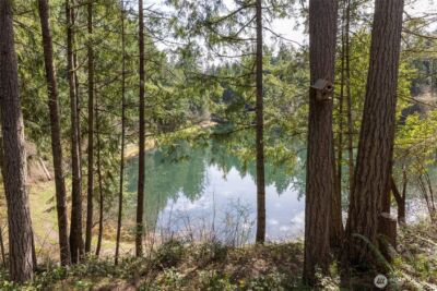 22221 N Clear Lake Boulevard SE, Yelm, WA 98597 - Photo 14