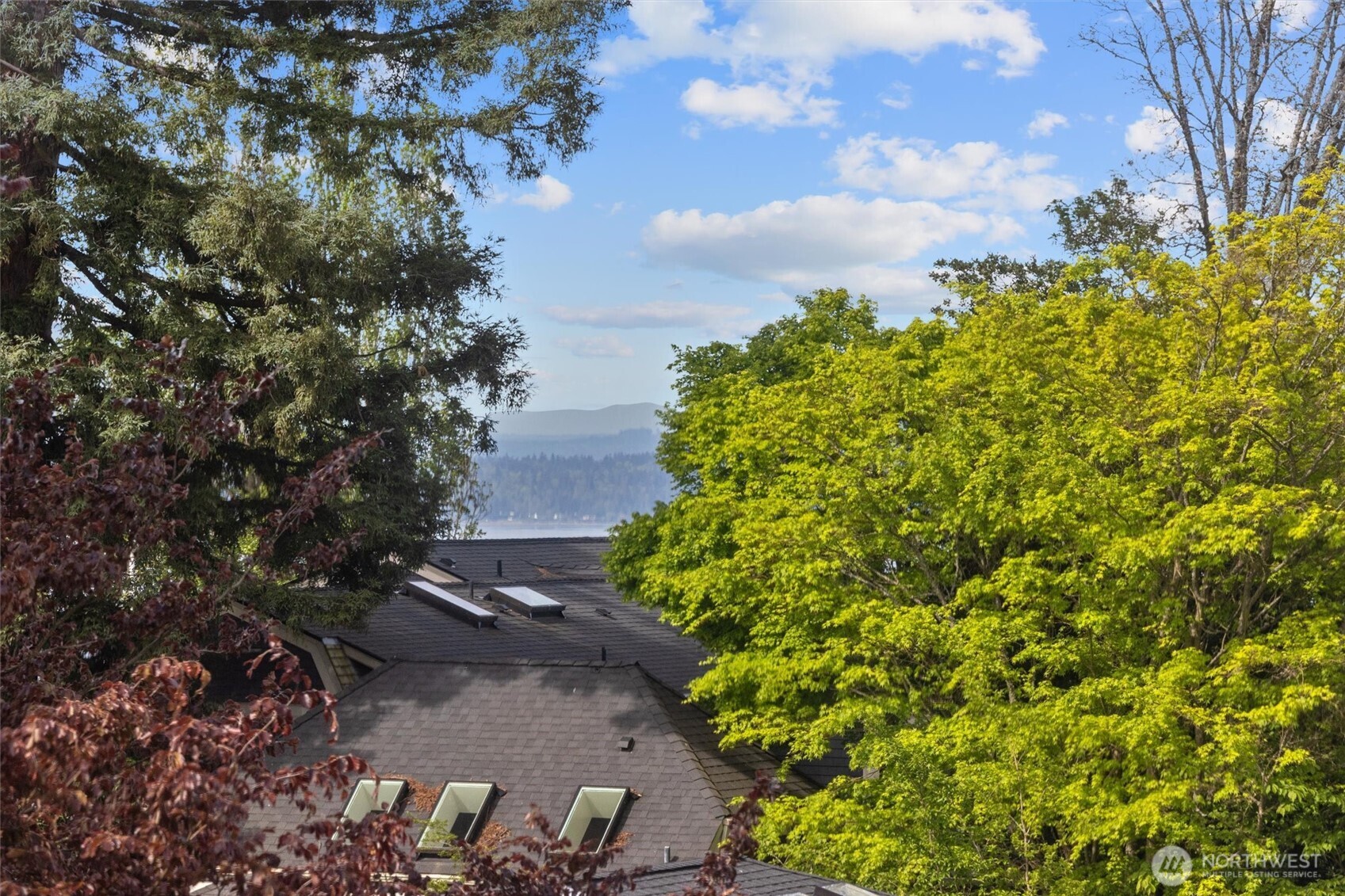 1401 5th Avenue W #402, Seattle, WA 98119