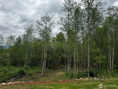 8657 Trillium Lane , Concrete, WA 98237 - Photo 27