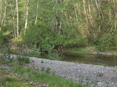 140 NE Evergreen Drive , Tahuya, WA 98588 - Photo 11