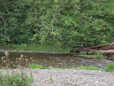 140 NE Evergreen Drive , Tahuya, WA 98588 - Photo 12