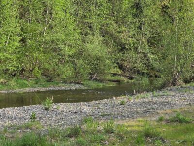 140 NE Evergreen Drive , Tahuya, WA 98588 - Photo 10