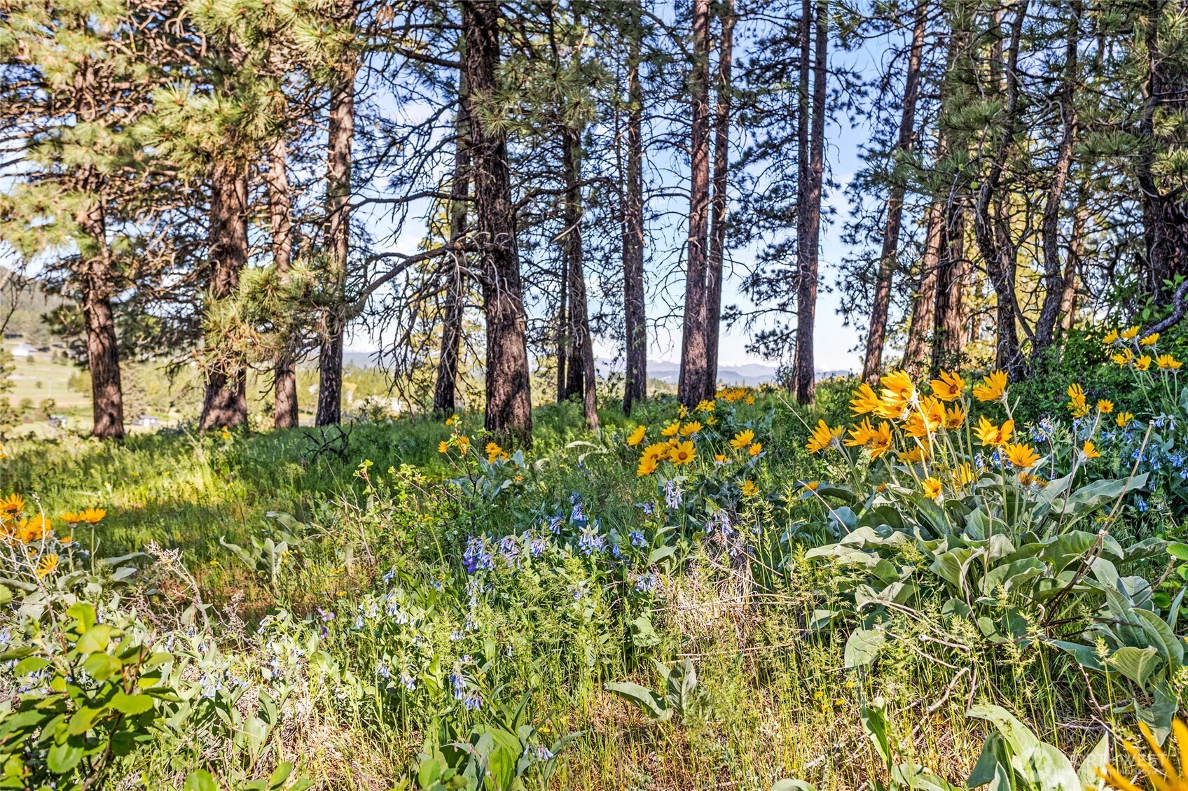 2681 Hidden Valley Road , Cle Elum, WA 98922