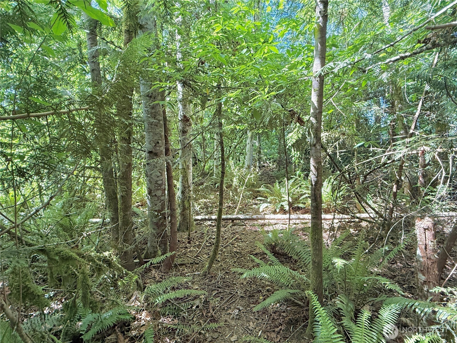 1356 SE Carl Pickel Drive , Port Orchard, WA 98366
