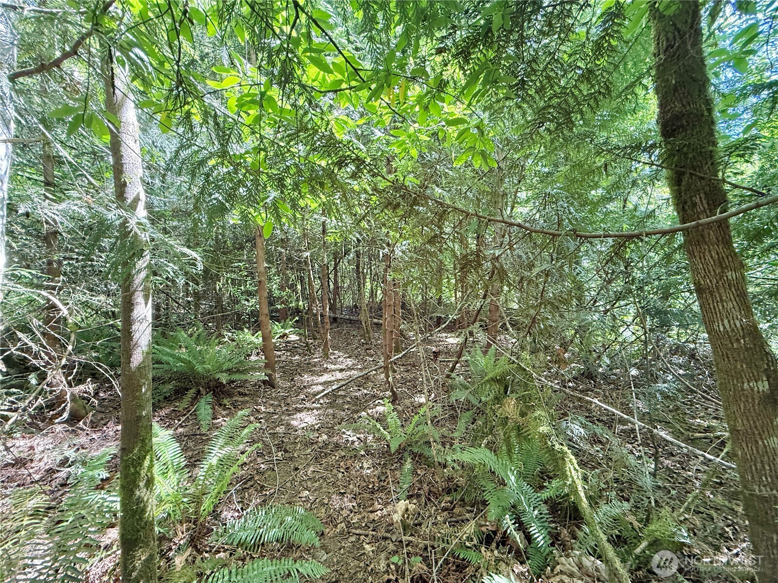 1356 SE Carl Pickel Drive , Port Orchard, WA 98366