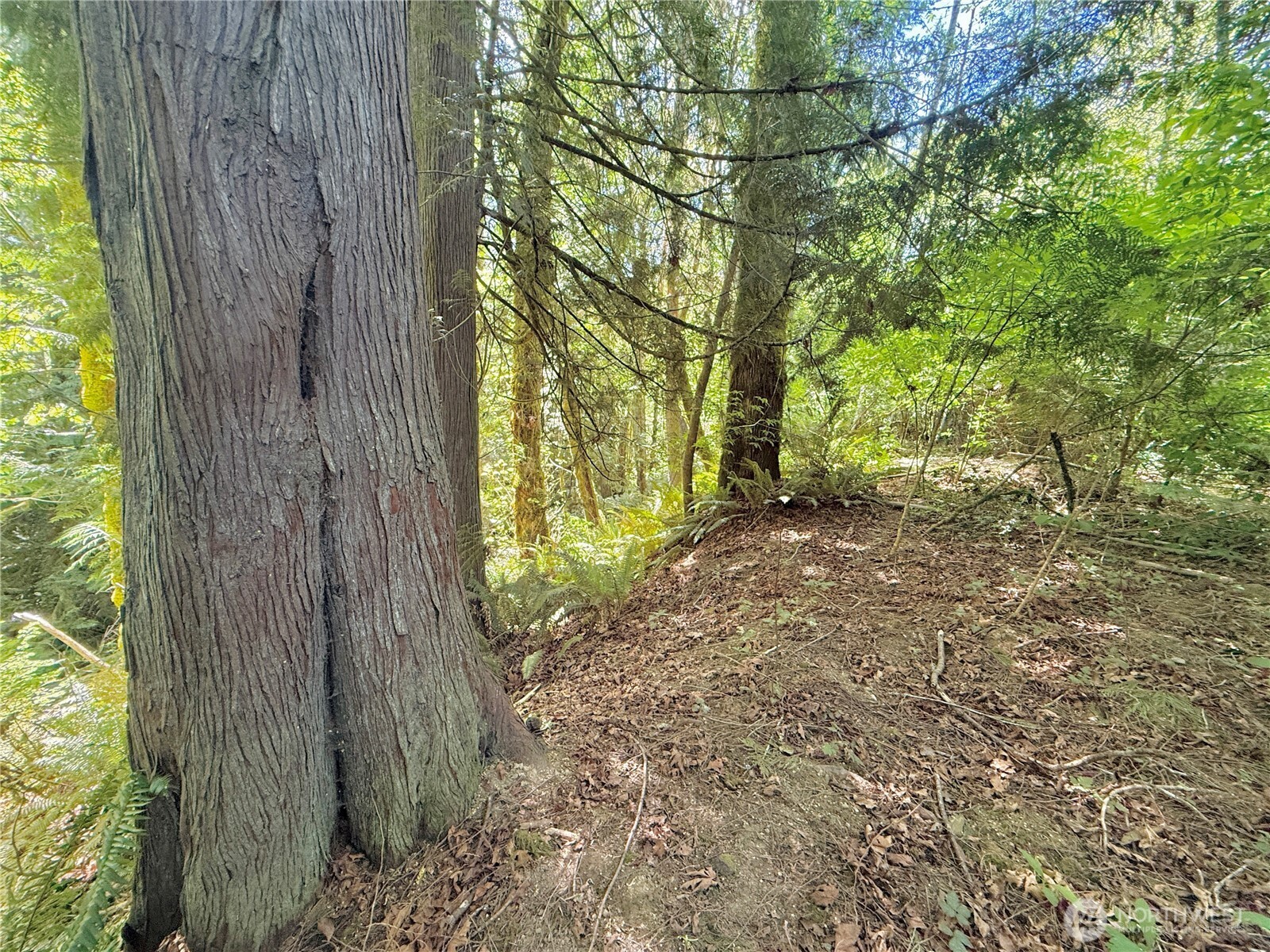 1356 SE Carl Pickel Drive , Port Orchard, WA 98366