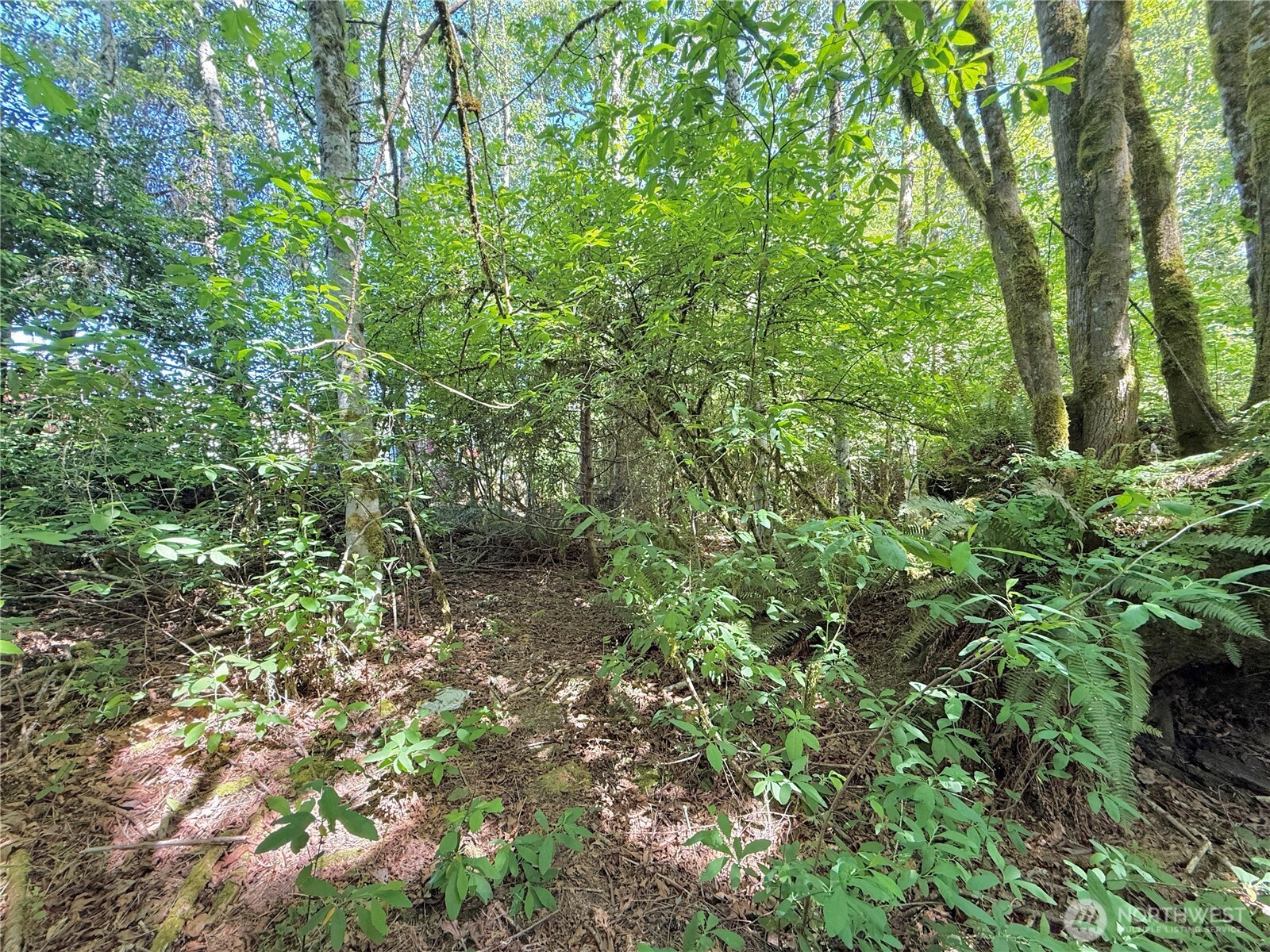 1356 SE Carl Pickel Drive , Port Orchard, WA 98366