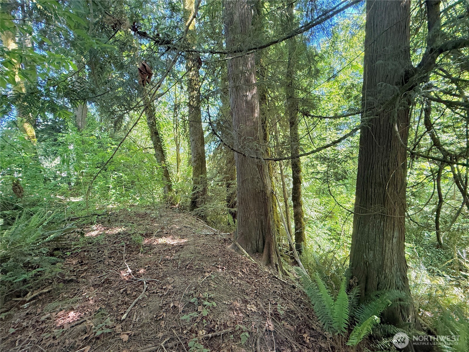 1356 SE Carl Pickel Drive , Port Orchard, WA 98366