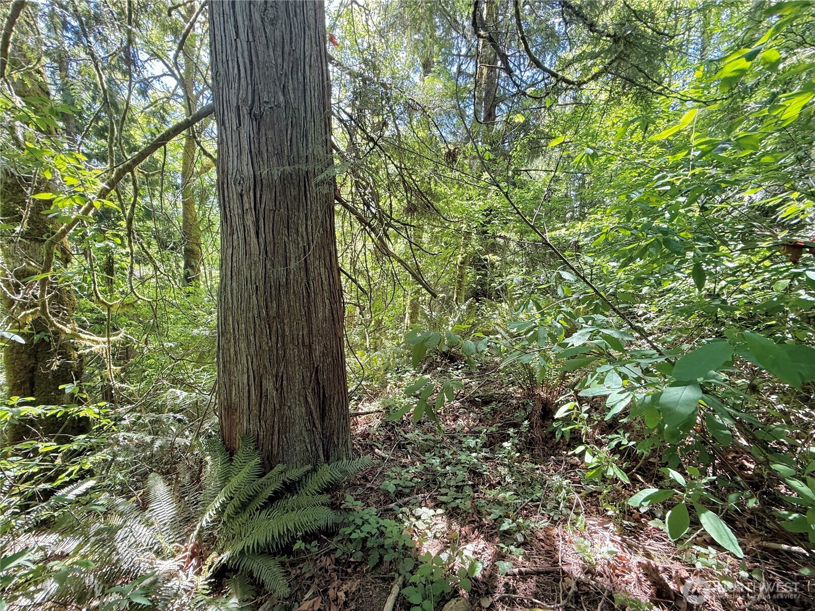 1356 SE Carl Pickel Drive , Port Orchard, WA 98366