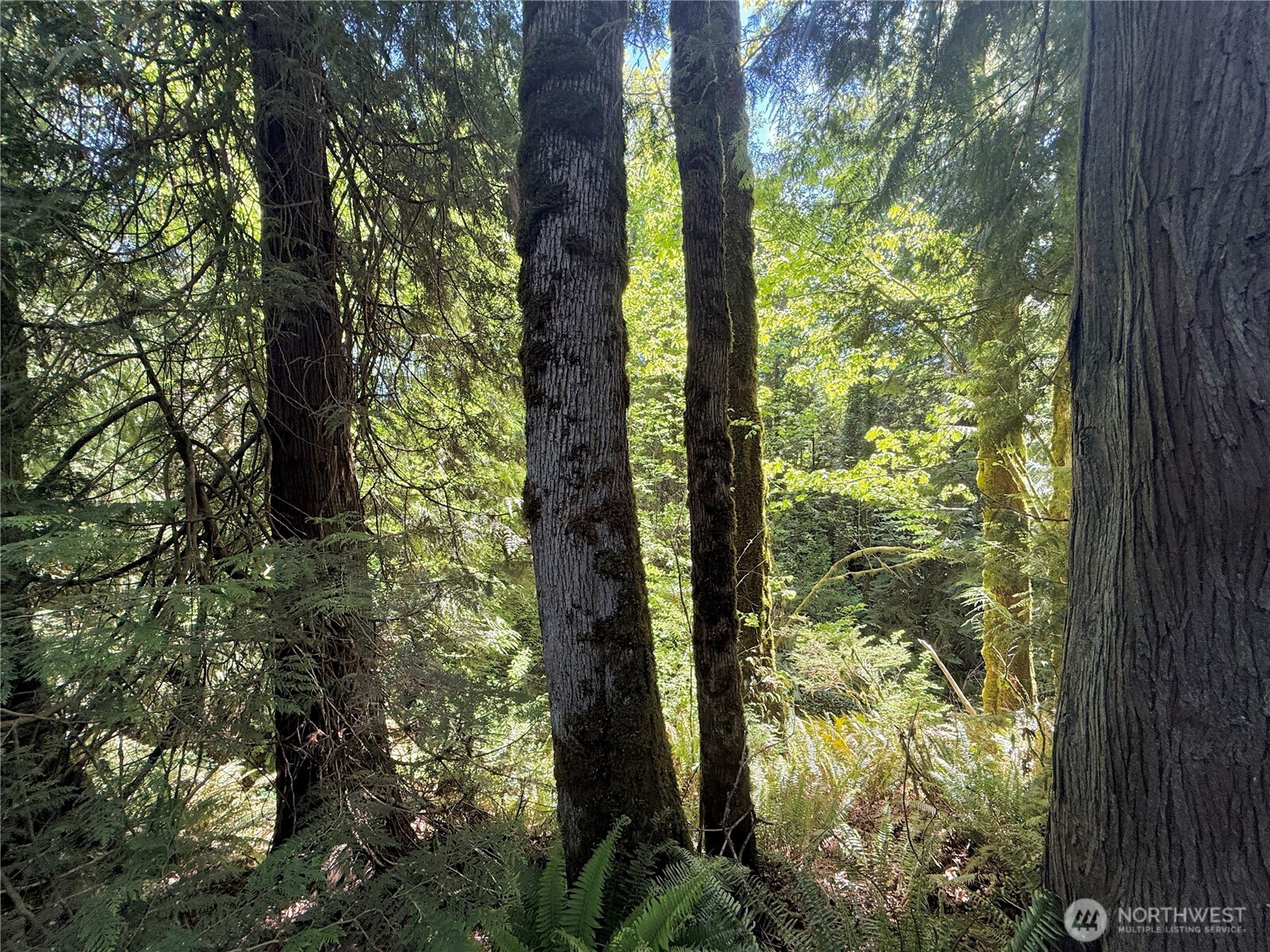 1356 SE Carl Pickel Drive , Port Orchard, WA 98366