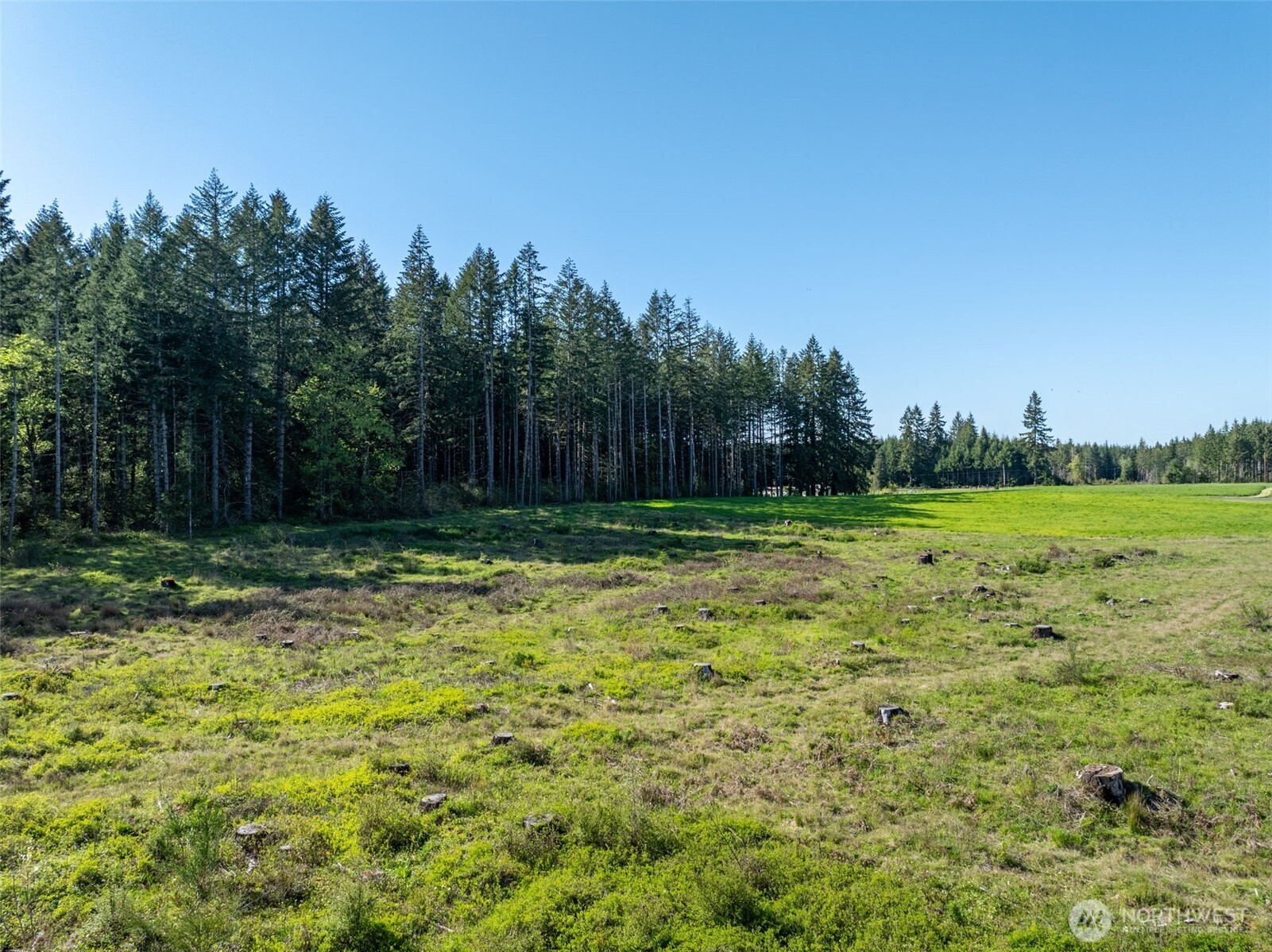 0 McGlaughlin Road #4, Winlock, WA 98596