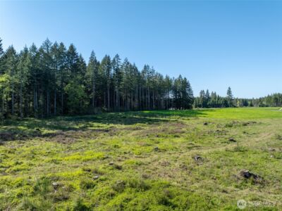 0 McGlaughlin Road #4, Winlock, WA 98596 - Photo 12