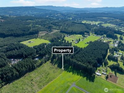 0 McGlaughlin Road #4, Winlock, WA 98596 - Photo 5
