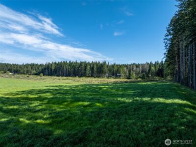 0 McGlaughlin Road #4, Winlock, WA 98596 - Photo 9