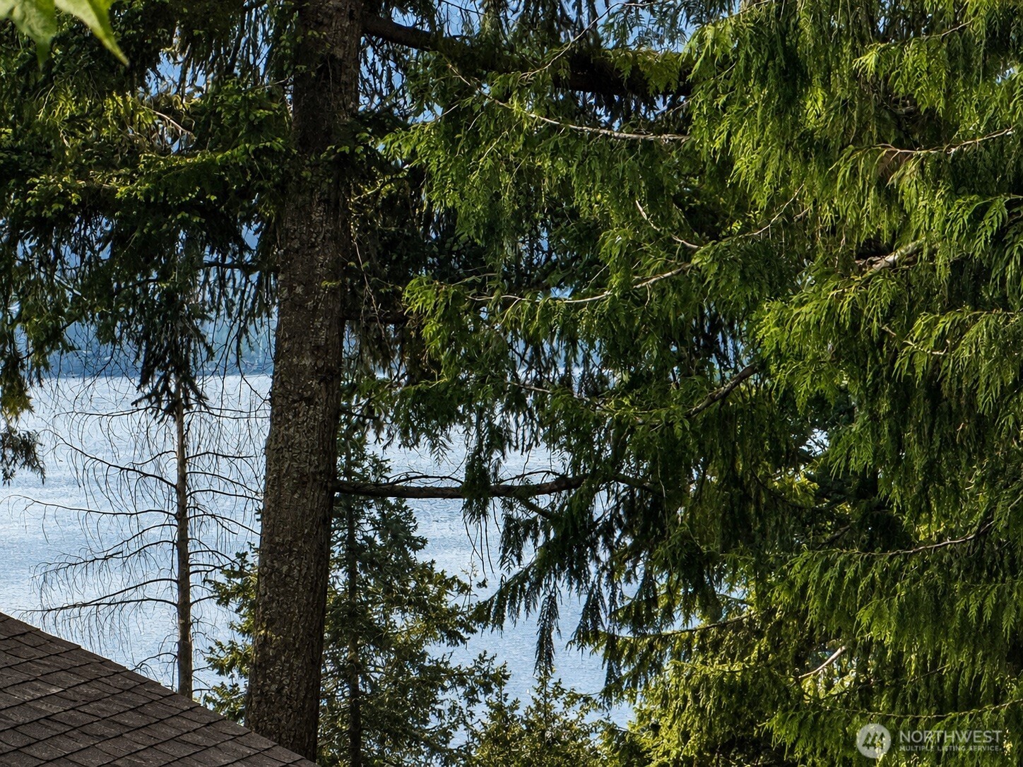 1508 208th Avenue NE, Sammamish, WA 98074-6675