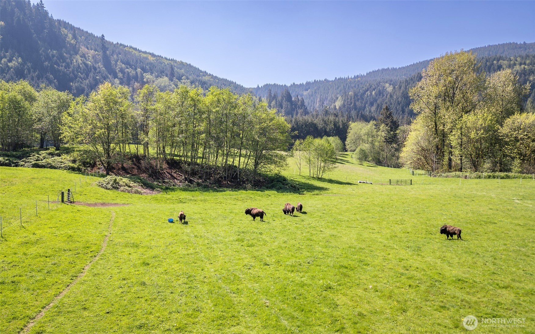 296 Dodge Road , Morton, WA 98356