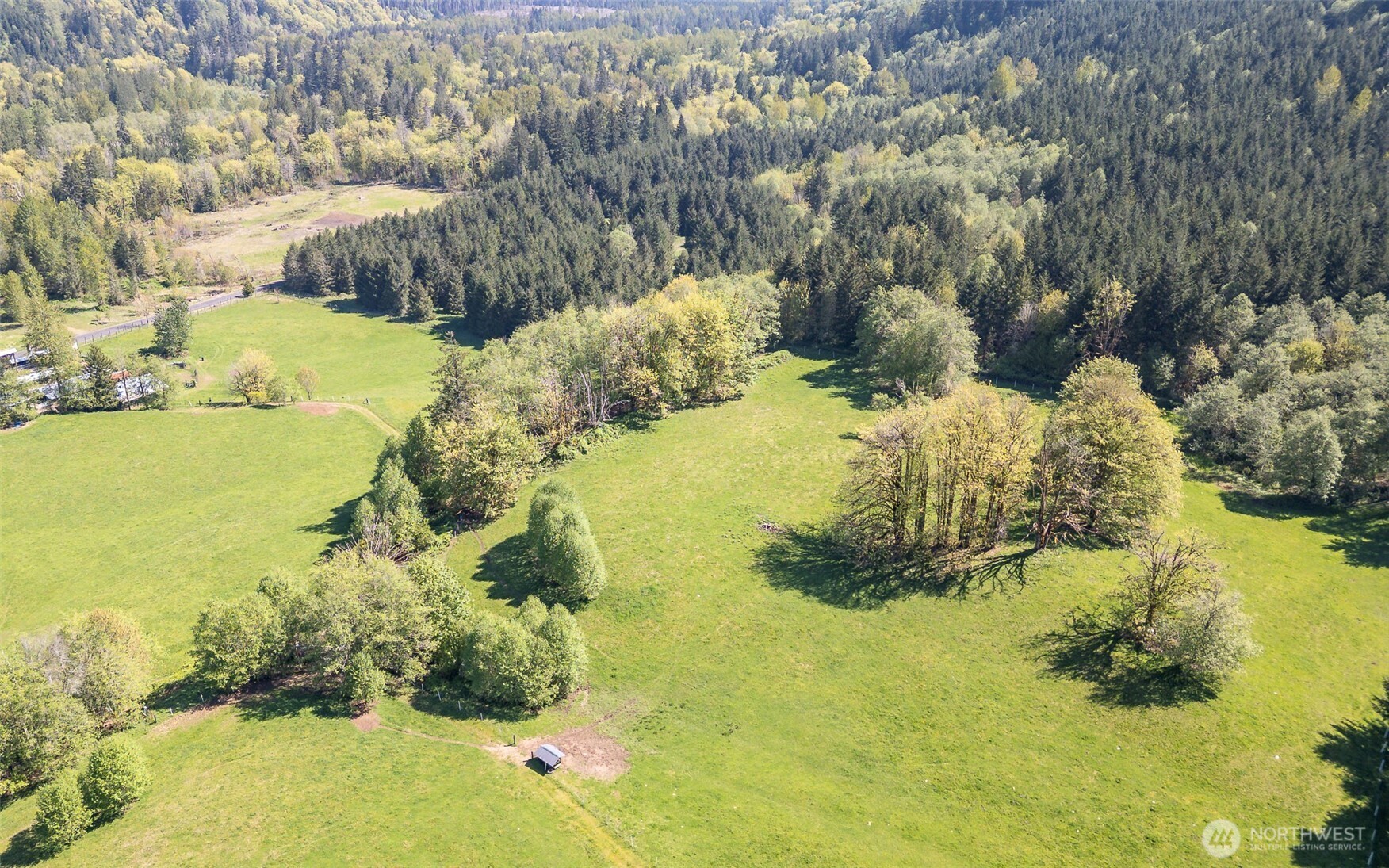 296 Dodge Road , Morton, WA 98356