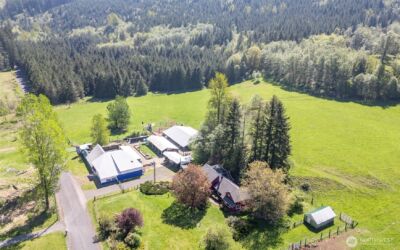 296 Dodge Road , Morton, WA 98356 - Photo 6