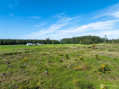 0 McGlaughlin Road #3, Winlock, WA 98596 - Photo 10