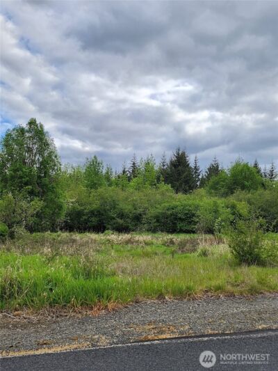 0 Henriot Road , Toledo, WA 98591