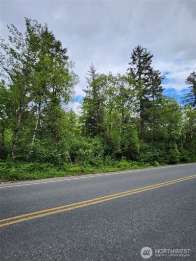 0 Henriot Road , Toledo, WA 98591