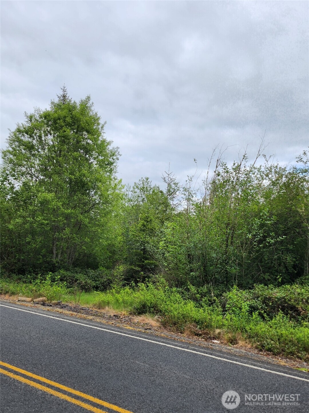 0 Henriot Road , Toledo, WA 98591