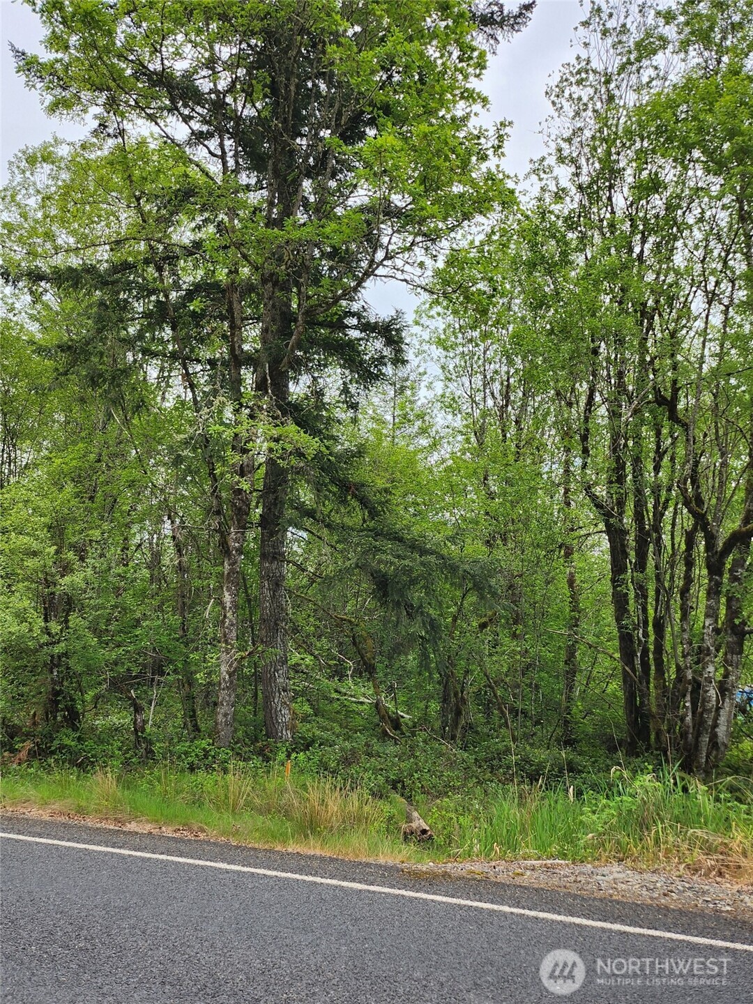0 Henriot Road , Toledo, WA 98591