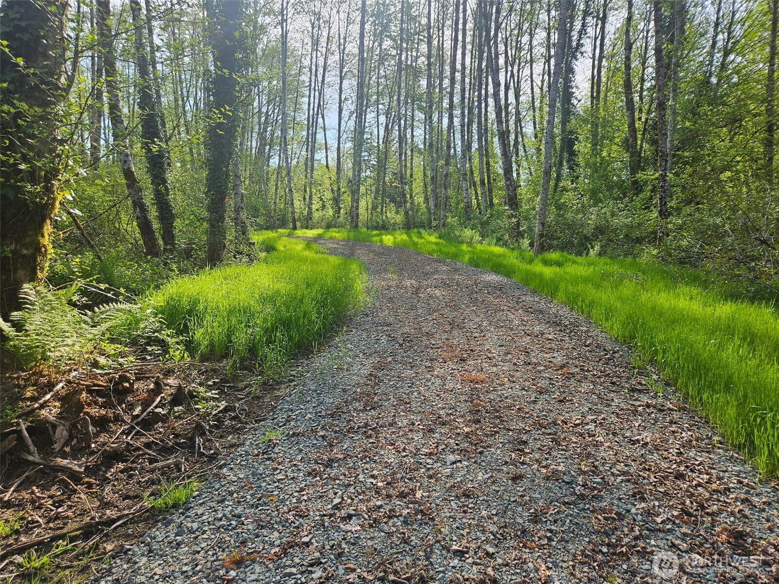 31511 367th Avenue NE, Arlington, WA 98223