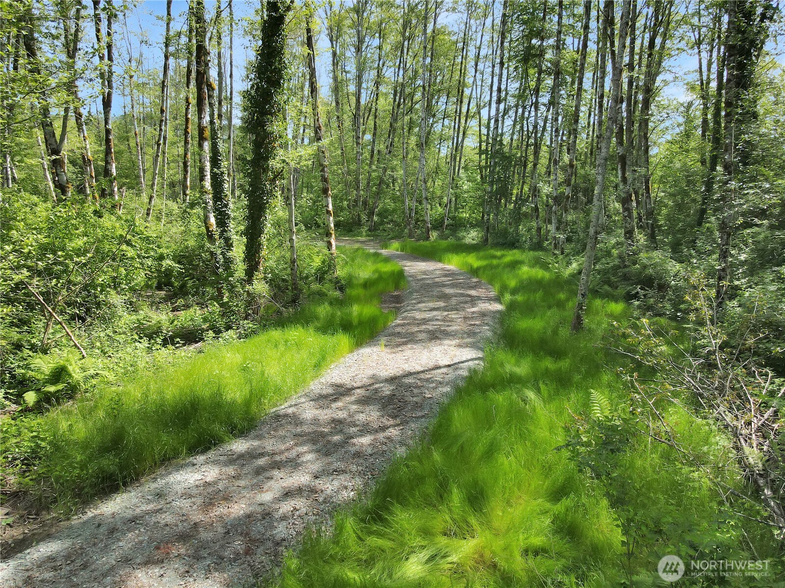 31511 367th Avenue NE, Arlington, WA 98223