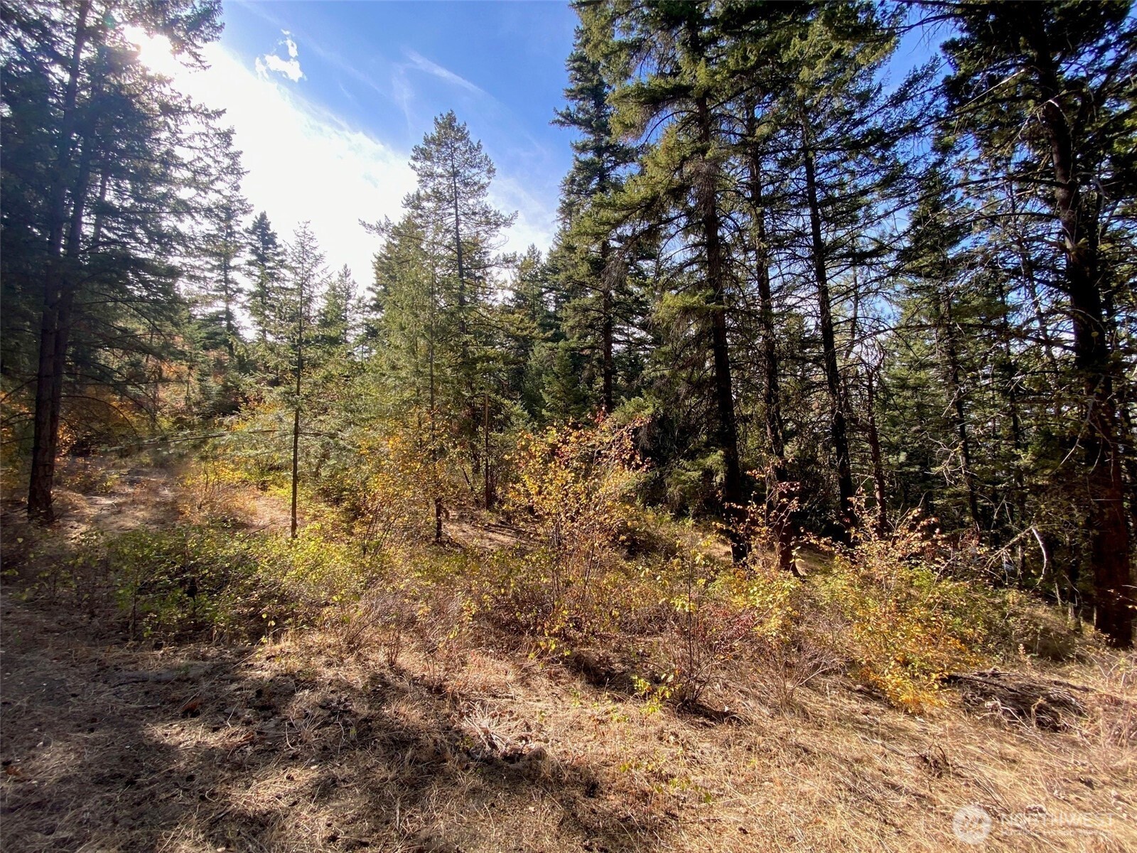 8888 Deer Creek Drive , Waterville, WA 98858