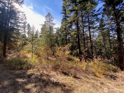 8888 Deer Creek Drive , Waterville, WA 98858 - Photo 1
