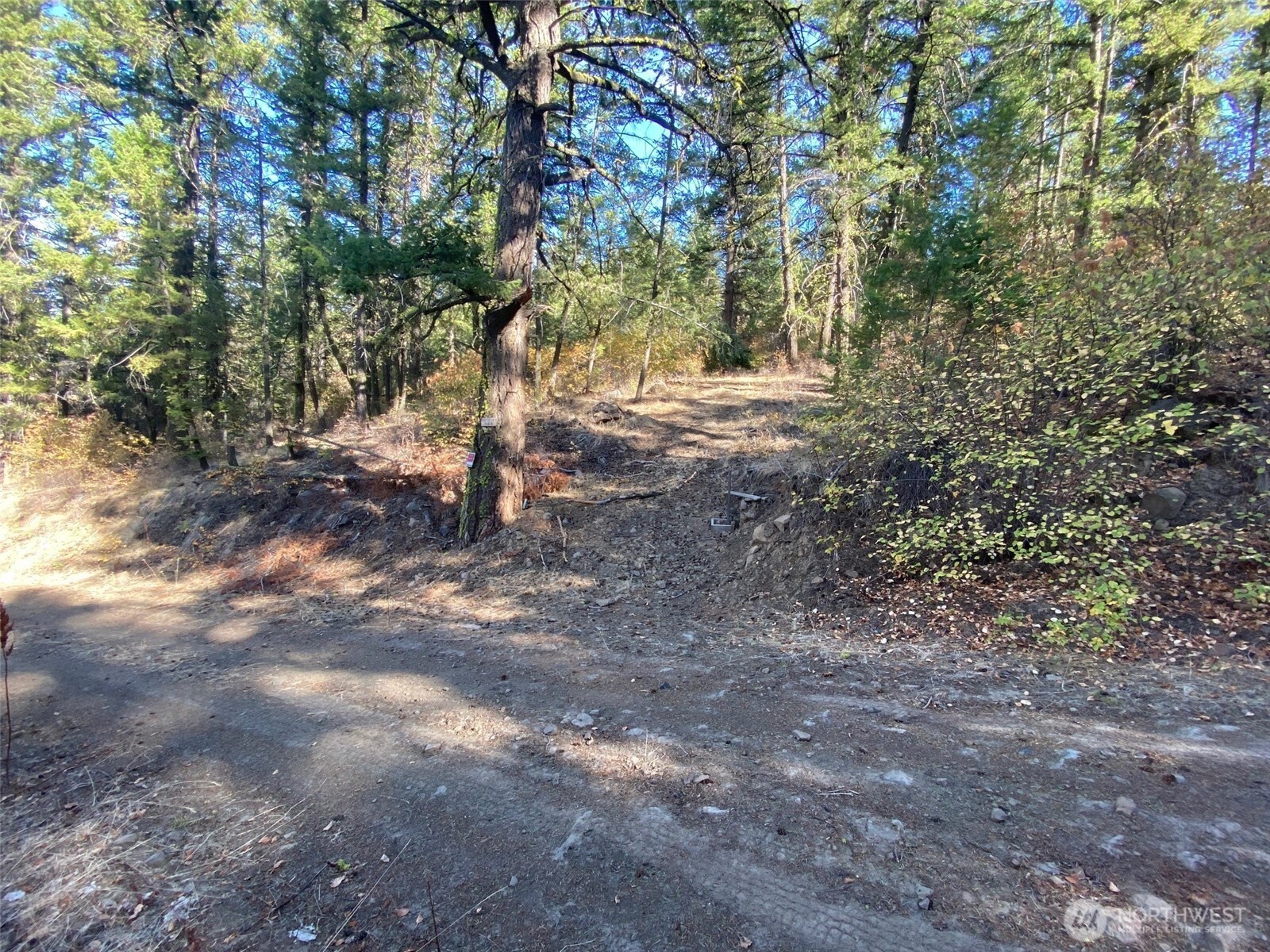 8888 Deer Creek Drive , Waterville, WA 98858