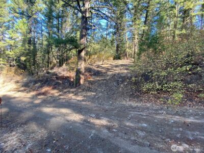 8888 Deer Creek Drive , Waterville, WA 98858 - Photo 11