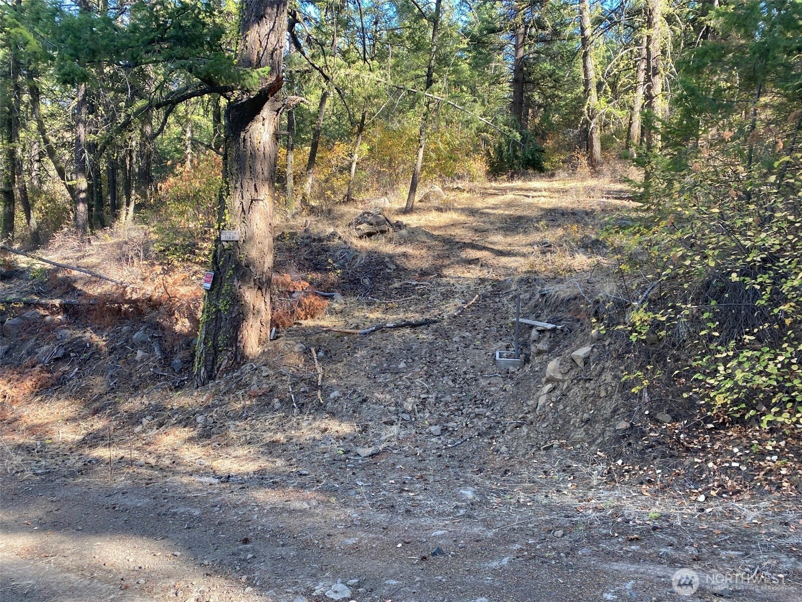 8888 Deer Creek Drive , Waterville, WA 98858