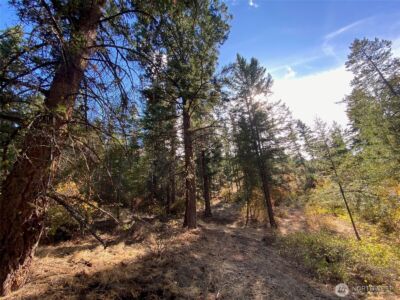 8888 Deer Creek Drive , Waterville, WA 98858 - Photo 13