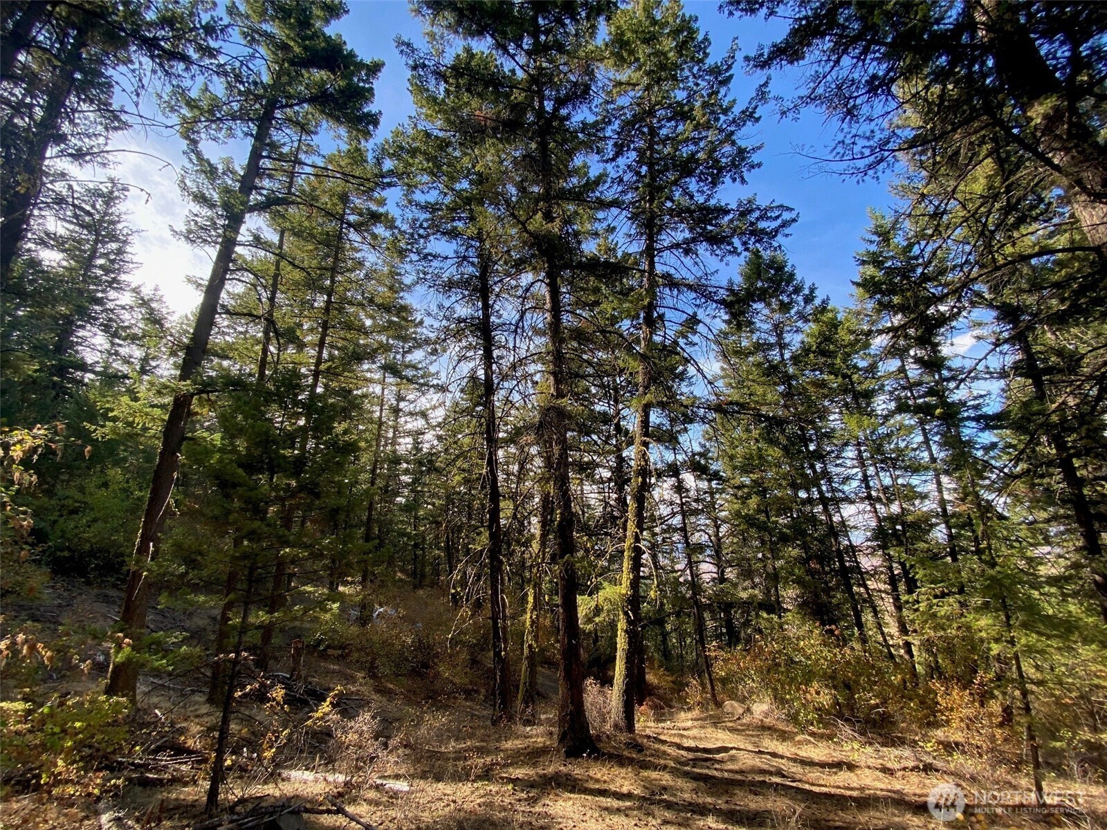 8888 Deer Creek Drive , Waterville, WA 98858